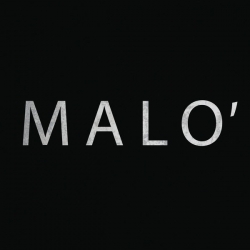 Malo' - I Believed : masterisé par Chab